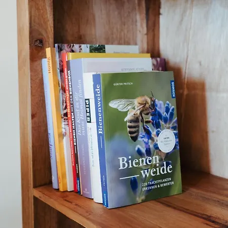 Apartment Zentrale Gemütlichkeit: 3-zimmer Mit Netflix & Uni-nähe Kassel