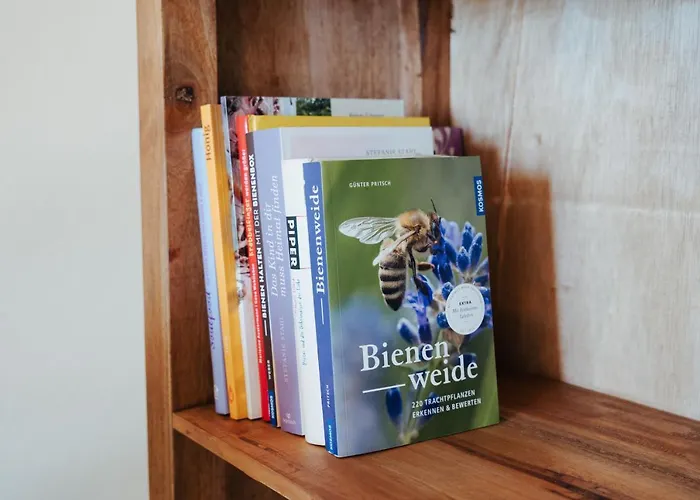 Apartment Zentrale Gemütlichkeit: 3-zimmer Mit Netflix & Uni-nähe Kassel