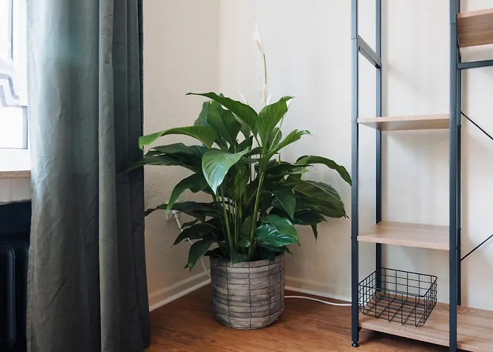 Apartment Zentrales&gemütliches 3-zimmer-apartment Mit Netflix&sky, Nah An Uni&zentrum, Mit Stellplatz